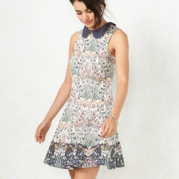 LC Lauren Conrad Dresses & Skirts - LC Lauren Conrad Sleeveless Peter Pan Collar Floral Dress, Women's Size 12